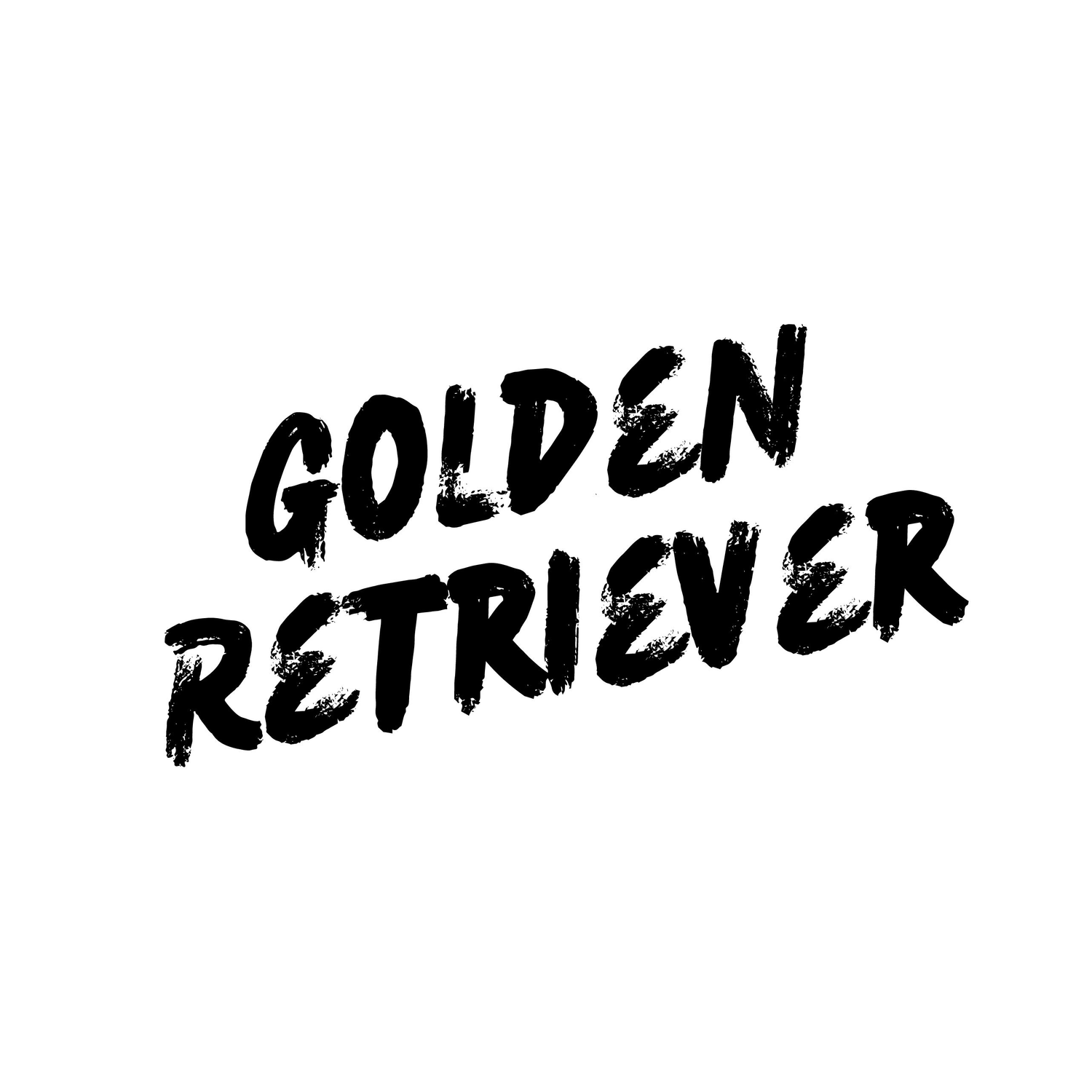 Golden Retriever - Collection