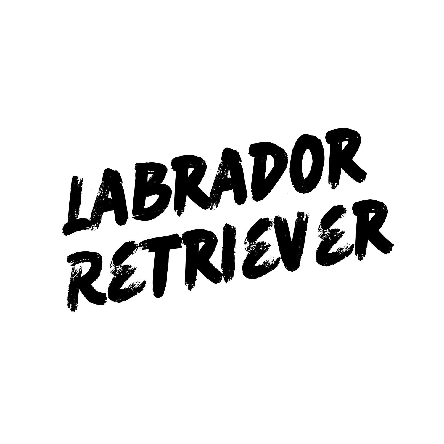 Labrador Retriever - Collection