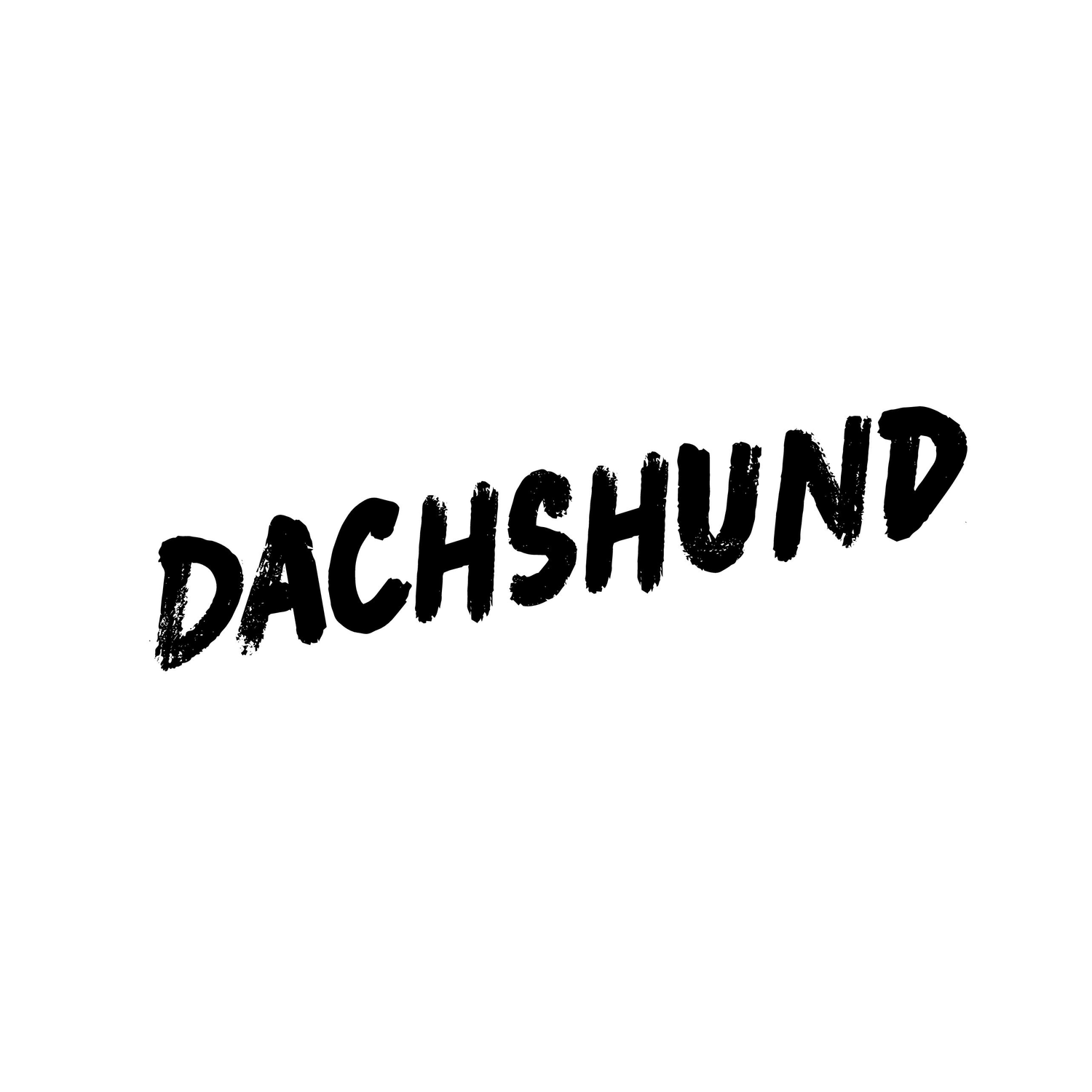 Dachshund - Collection