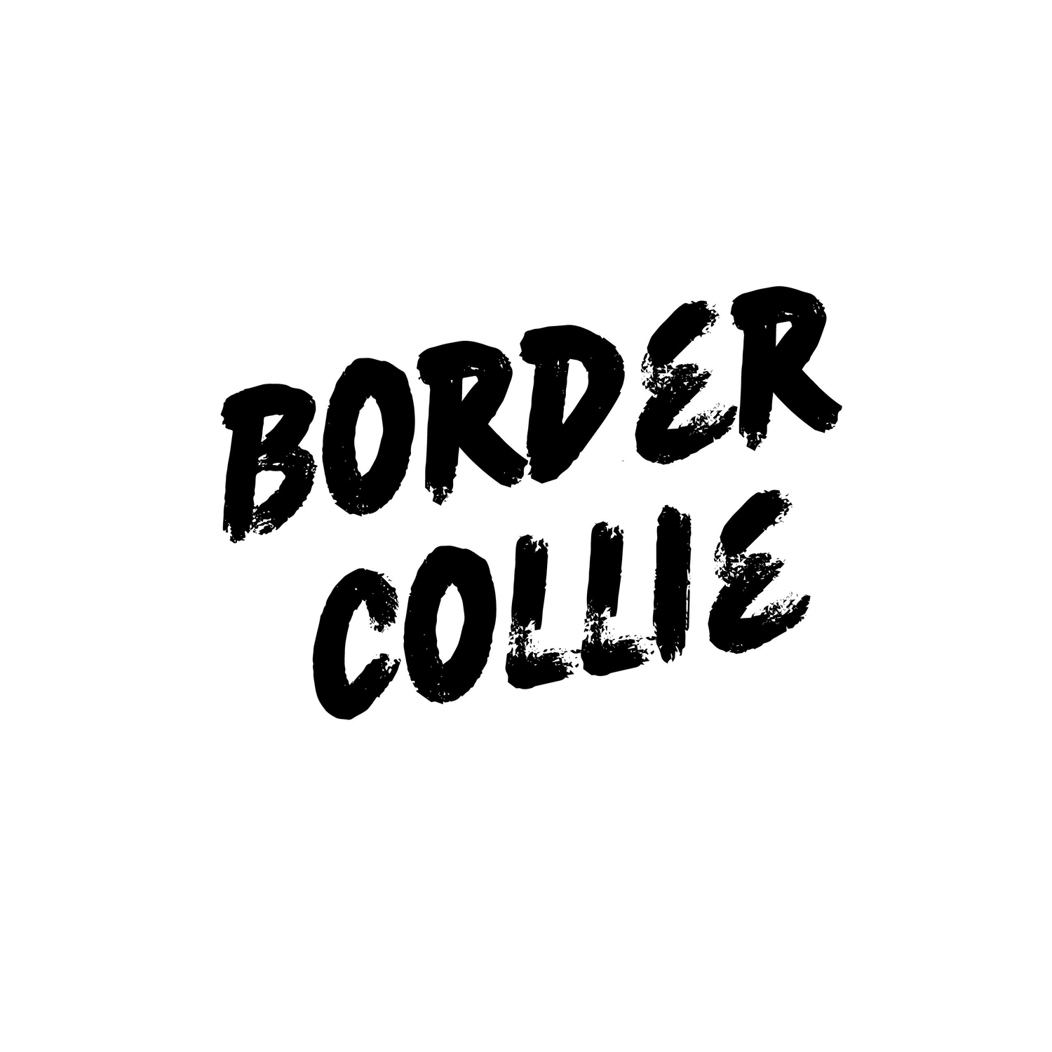 Border Collie - Collection.